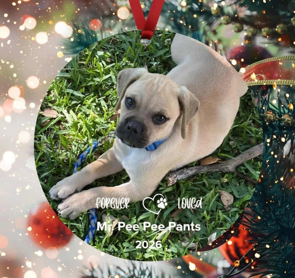 Personalized Pet Memorial Photo Ornament
