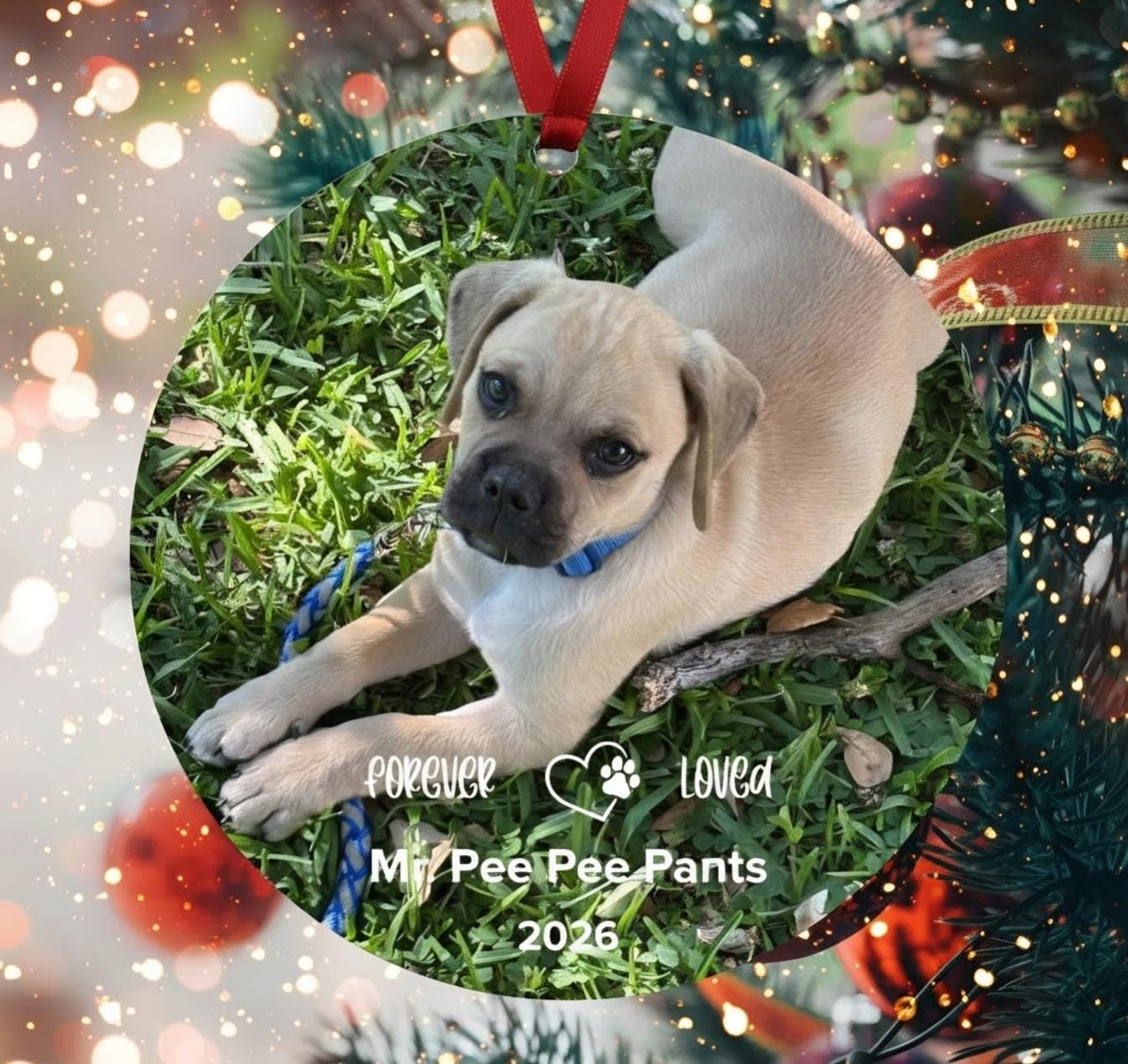 Personalized Pet Memorial Photo Ornament