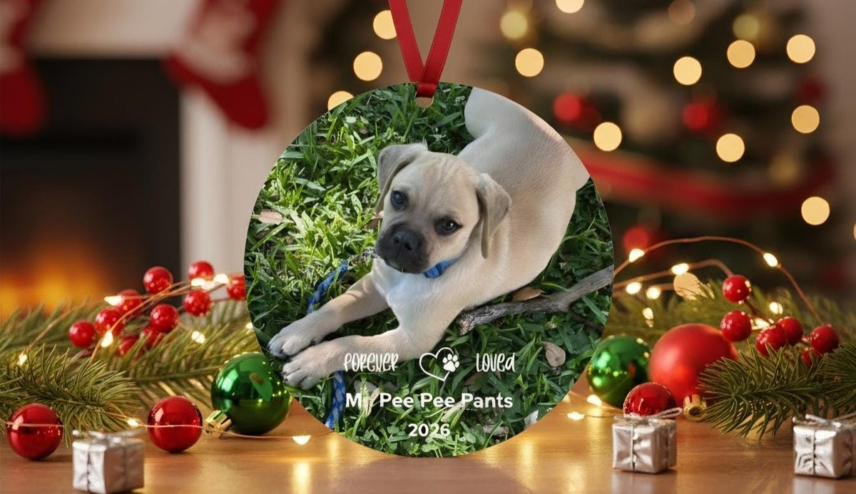 Personalized Pet Memorial Photo Ornament