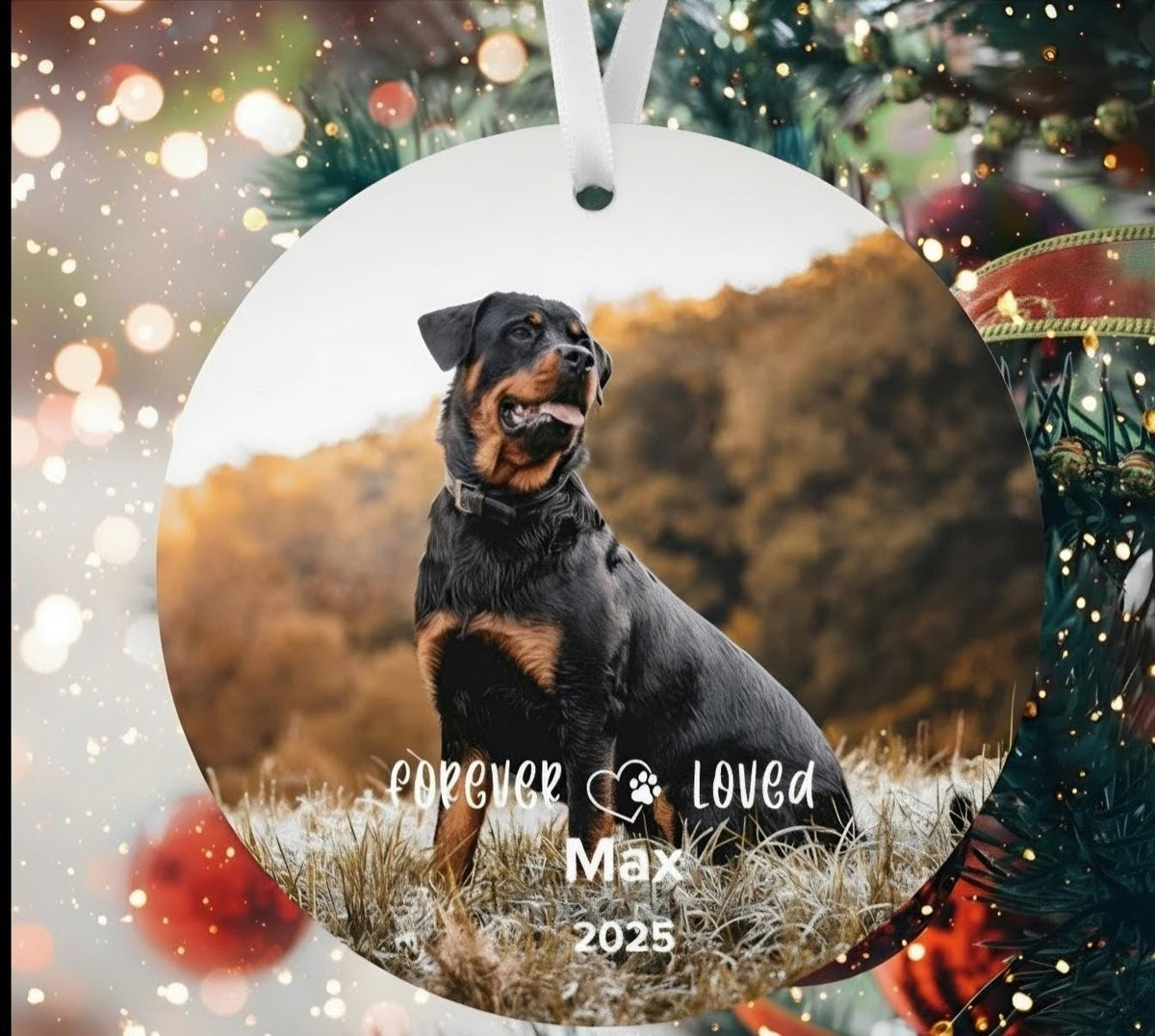 Personalized Pet Memorial Photo Ornament