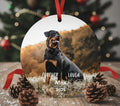 Personalized Pet Memorial Photo Ornament