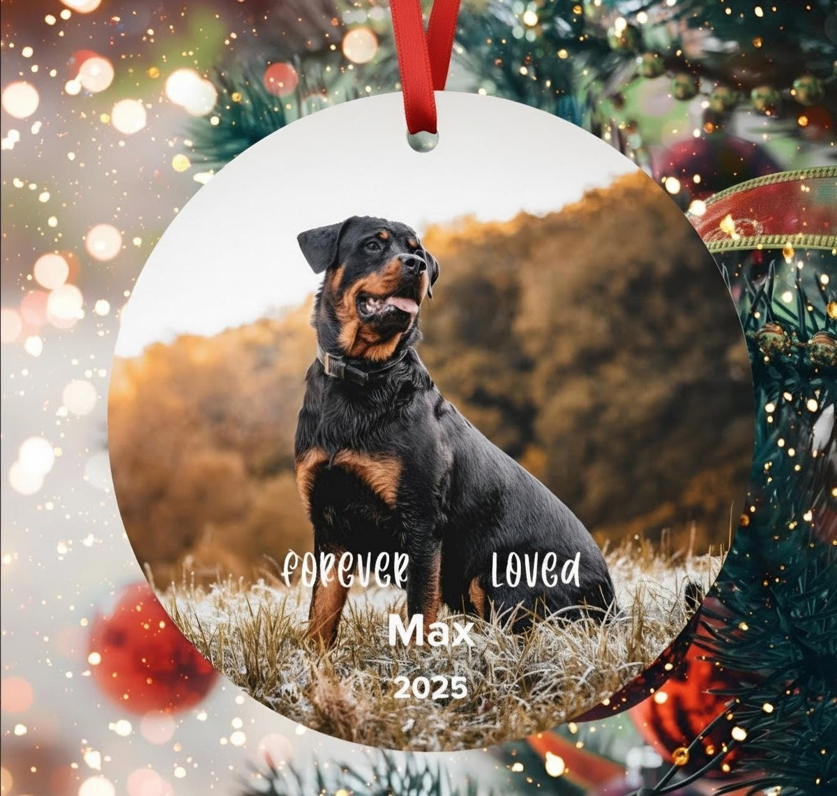 Personalized Pet Memorial Photo Ornament