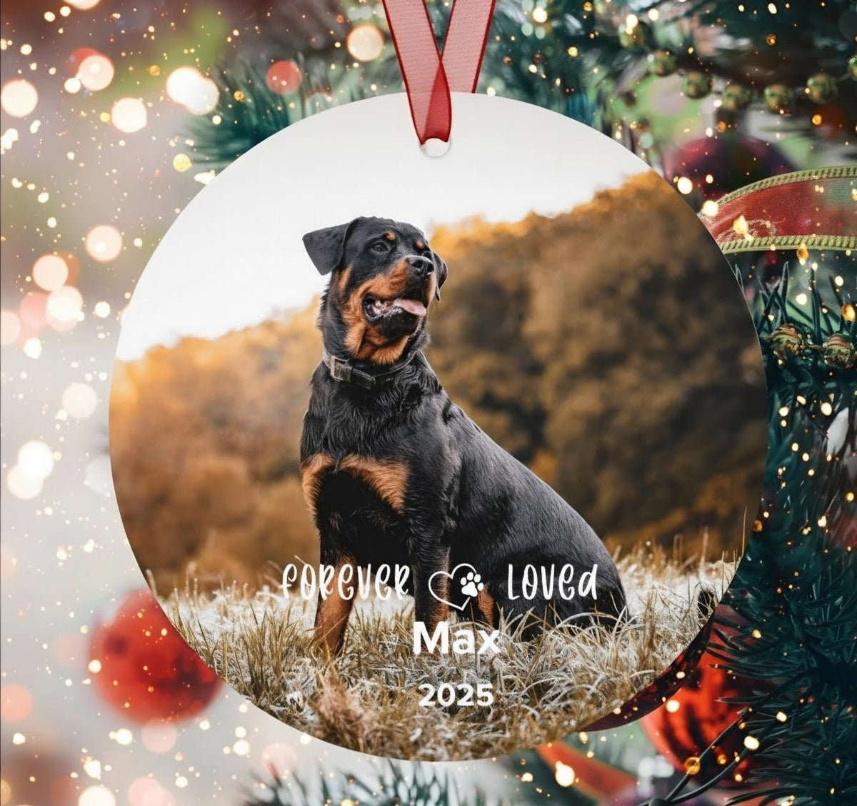 Personalized Pet Memorial Photo Ornament